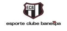Logo do cliente 2